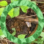 Profile Picture of Barry Bankston (@Barry-Bankston) on Facebook