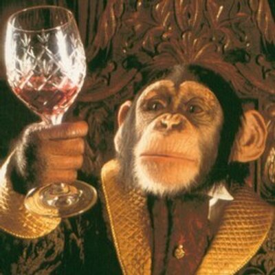 Profile Picture of John Eli Shuey (@JohnShuey) on Twitter