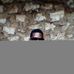 Profile Picture of Viktor Hakim (@viktor.hakim.7) on Facebook
