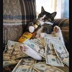 Profile Picture of Kot Unboxalla Official (@kot_unboxalla_official) on Instagram