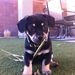 Profile Picture of Curt Schleider (@cschleider) on Pinterest