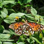 Devin Walls - Youtube Profile Picture of Devin Walls (@devinwalls5021) on Youtube