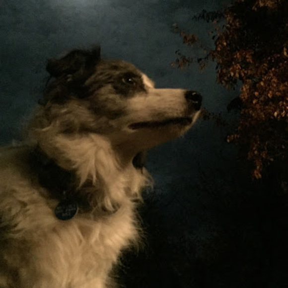 Profile Picture of Julia Otterbein (@otterbeinj) on Poshmark