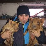 Profile Picture of Ton Oudenhoven (@oudenhoventon) on Instagram