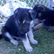 Profile Picture of Hailey Laurent (@haileylaurent7263) on Youtube