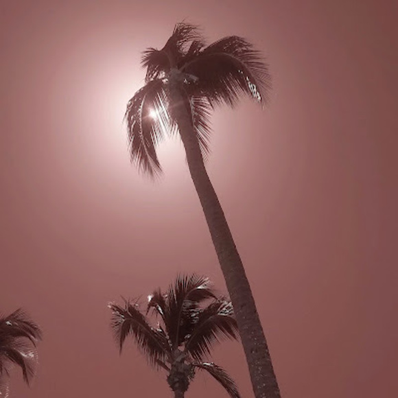 Profile Picture of Troy Servatius (@troyminator1) on Poshmark