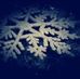 Profile Picture of Joshua Winter (@Joshua-Winter) on Facebook