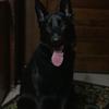 Profile Picture of Justin Wilcoxen (@@justinwilcoxen1) on Tiktok