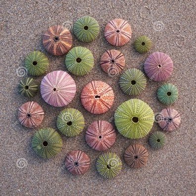 Profile Picture of Isabel Alemany (@ialemany2009) on Twitter