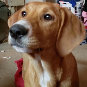 Profile Picture of Wilfredo Rivera (@Wilfred08291902) on Twitter