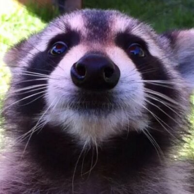 Profile Picture of John Cayo (@jdcayo) on Twitter