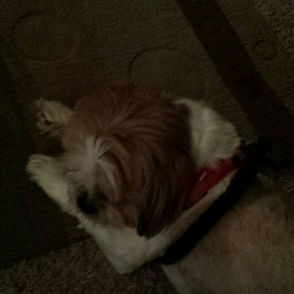 Profile Picture of Pamela Morrison (@pkm60) on Poshmark