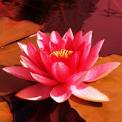 Profile Picture of Astrid Fischer (@astridfischer3272) on Youtube