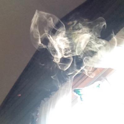Profile Picture of Cassandra Farr (@FarrCassandra) on Twitter