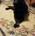 Profile Picture of Lisa Reep Smith (@lisa.r.smith.73) on Facebook