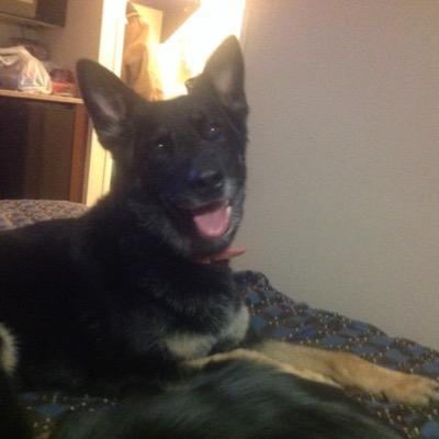Profile Picture of Mary Pyritz (@mbpyritz) on Twitter