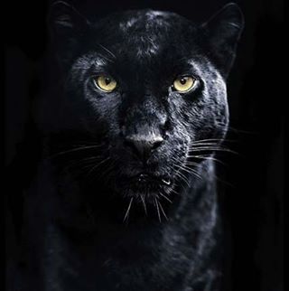 Profile Picture of Jude Kensy (rjkd) (@judekensy) on Facebook