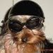 Profile Picture of Chuck DeLeal (@chuckdeleal) on Pinterest