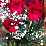 Profile Picture of Laurie Moore (@totalrecreationinc) on Flickr