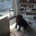 Profile Picture of Janet Stapleton (@janet.stapleton.395) on Facebook