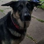 Chris Ahles - Instagram Profile Picture of Chris Ahles (@chrisahles) on Instagram