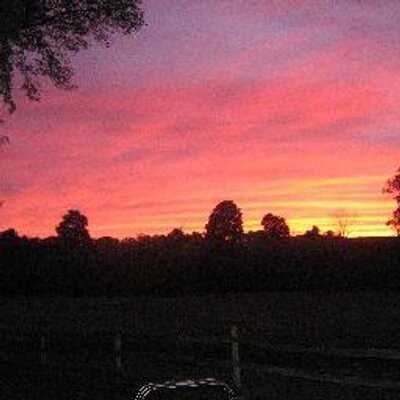 Profile Picture of Dean Bott (@deanbott) on Twitter