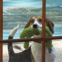 Profile Picture of Anne Scheffler (@anne-scheffler) on Quora