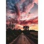 Profile Picture of sophia._.ayers (@sophia._.ayers) on Instagram