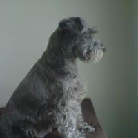 Profile Picture of Steven Jefferys (@steven-jefferys-1) on Quora