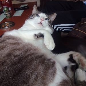 Profile Picture of Sara Monge (@sarivi05) on Twitter