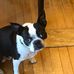 Profile Picture of Michael Bruzzi (@michael.bruzzi.908) on Facebook