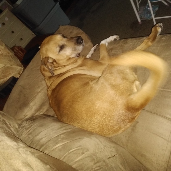 Profile Picture of Jason. Hatch (@graniteman35) on Poshmark