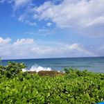 Profile Picture of Dawn Tremblay (@dawndray) on Instagram