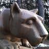 Profile Picture of Jeffrey Glazer (@glazer0250) on Pinterest