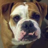 Profile Picture of Clint Rice (@clint-rice-1) on Quora