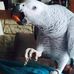 Profile Picture of Pierre Lebas (@pierre.lebas.543) on Facebook