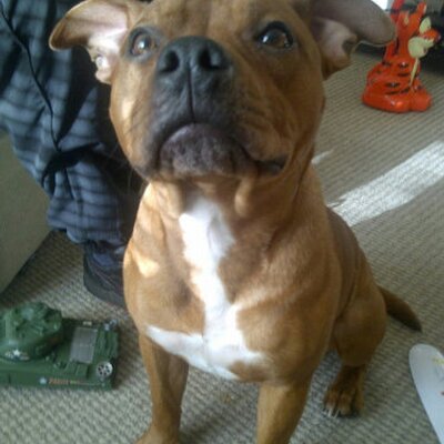 Profile Picture of Nathan Bateman (@nathan121210) on Twitter