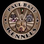 Profile Picture of PBK (@paul_batt_kennels) on Instagram