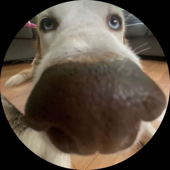 Profile Picture of Dynestie Panet (@spongbob718) on Poshmark