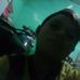 Profile Picture of Ivan Adame (@Ivan-Adame) on Facebook