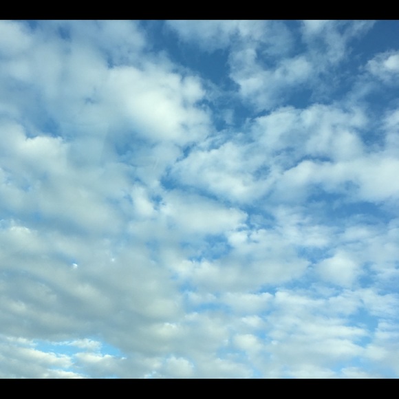 Profile Picture of Audrey Pan (@audreypan54) on Poshmark