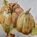 Profile Picture of Cindy Neff (@cindy.neff.50767) on Facebook