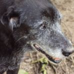 Nancy Madden - Facebook Profile Picture of Nancy Madden (@nancy.madden.9) on Facebook