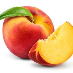 Profile Picture of Scott Baio Is Trash (@JudyWhat34) on Twitter