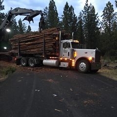 Profile Picture of Brian Brown (@@brianbrown2816) on Tiktok