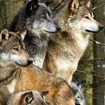 Jim Burden - Instagram Profile Picture of Jim Burden (@jimbbourbon) on Instagram