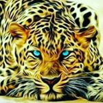 Profile Picture of mike (@dabit1234) on Instagram