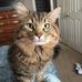 Profile Picture of Pamela Farnsworth (@pamela.farnsworth.52) on Facebook