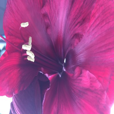 Profile Picture of Wackerli5 (@wackerli5) on Twitter
