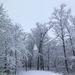 Profile Picture of Janet Gans (@gans) on Pinterest